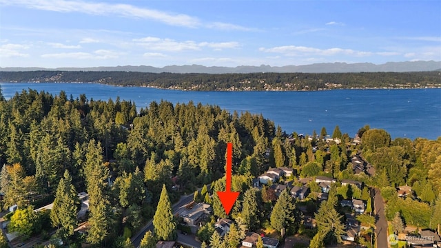 3410 166th Ave SE, Bellevue, WA 98008 - photo 2
