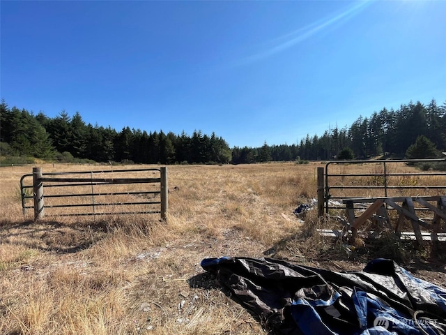 12650 Lindi Ln SW, Port Orchard, WA 98367 - photo 10