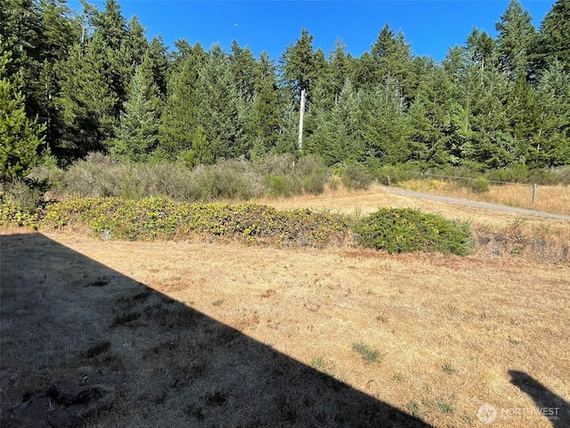 12650 Lindi Ln SW, Port Orchard, WA 98367 - photo 11
