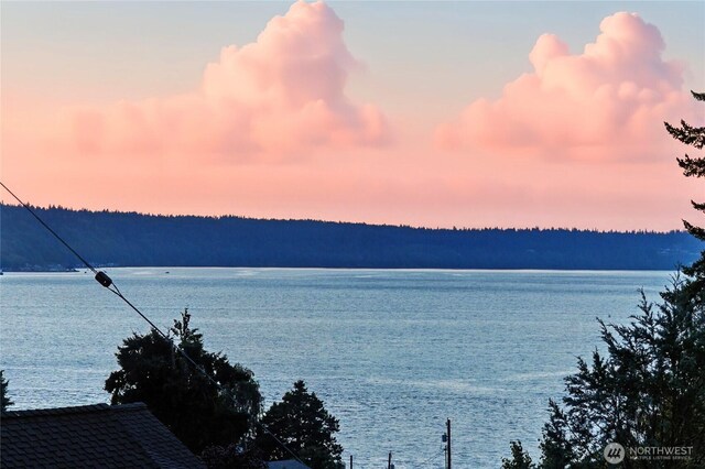 606 Prospect Ave, Mukilteo, WA 98275 - photo 4