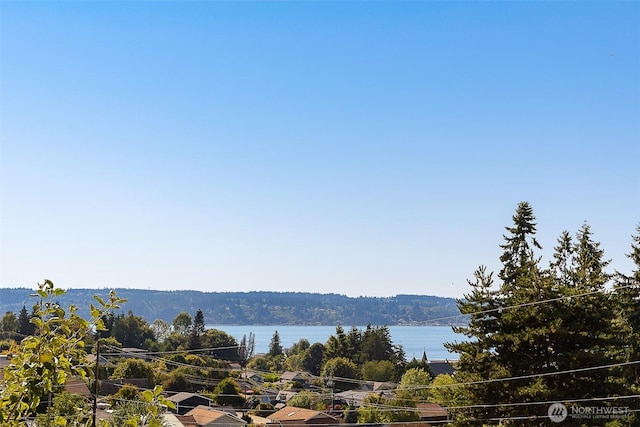 606 Prospect Ave, Mukilteo, WA 98275 - photo 35