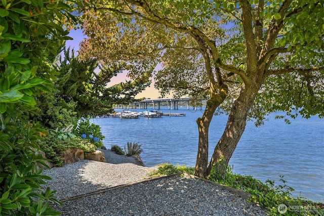 2500 Canterbury Ln E Unit 302, Seattle, WA 98112 - photo 32