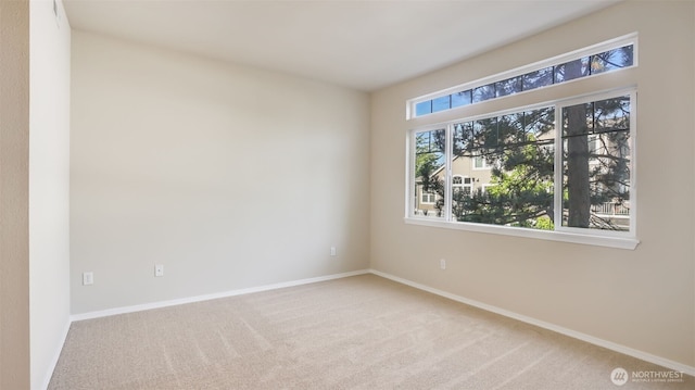 425 S 46th Pl Unit E, Renton, WA 98055 - photo 12