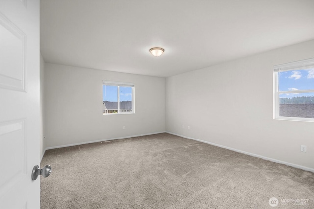 13509 197th St E, Graham, WA 98339 - photo 29