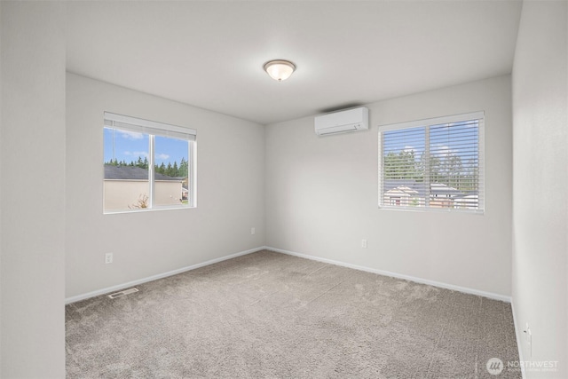 13509 197th St E, Graham, WA 98339 - photo 38