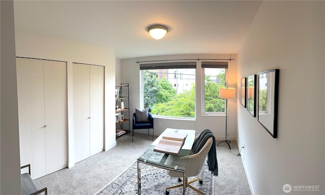 1730 NW 60th St, Seattle, WA 98107 - photo 14