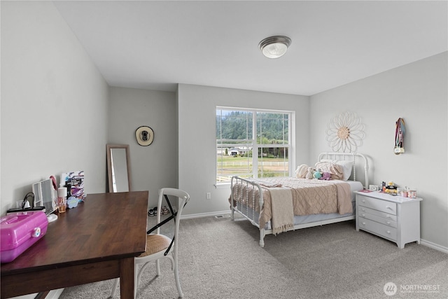 14811 172nd St E, Orting, WA 98360 - photo 28