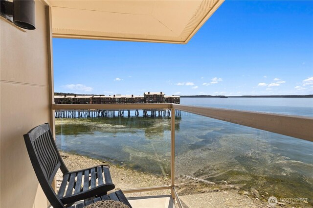 3633 Beach Dr SW Unit 402, Seattle, WA 98116 - photo 10
