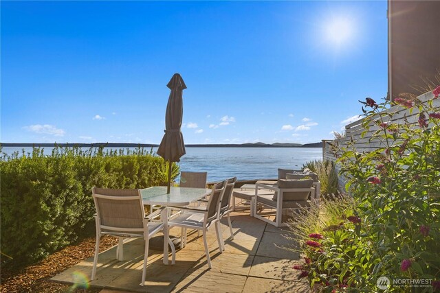 3633 Beach Dr SW Unit 402, Seattle, WA 98116 - photo 18