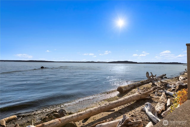 3633 Beach Dr SW Unit 402, Seattle, WA 98116 - photo 20