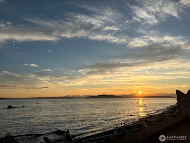 3633 Beach Dr SW Unit 402, Seattle, WA 98116 - photo 28