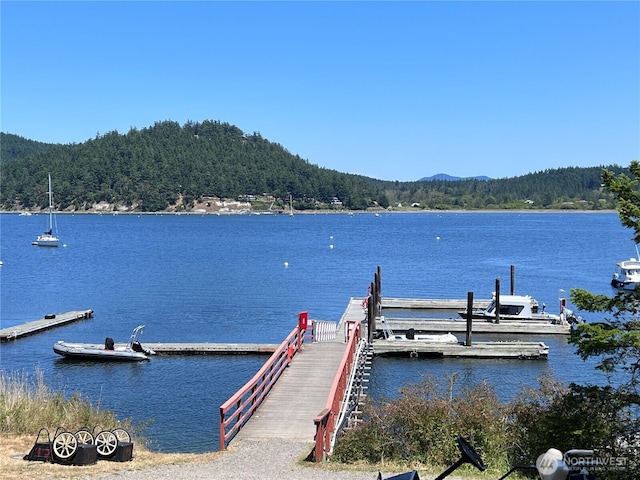 0 Chinook Way, Center Island, WA 98221 - photo 20