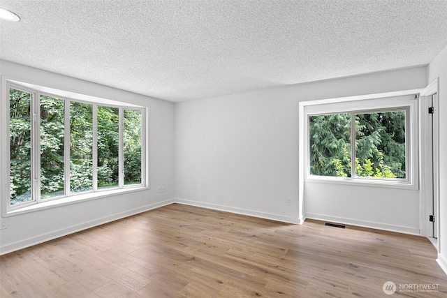 2858 241st Ave SE, Sammamish, WA 98075 - photo 13