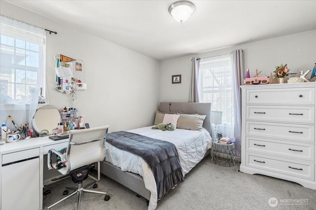 767 Lyons Ave NE, Renton, WA 98059 - photo 24