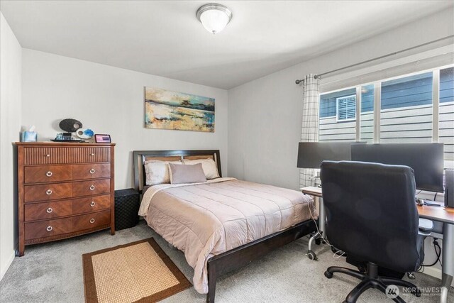 767 Lyons Ave NE, Renton, WA 98059 - photo 25