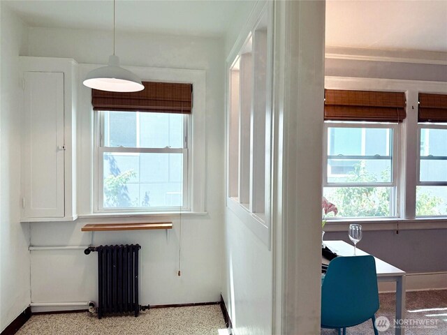 4725 15th Ave NE Unit 27, Seattle, WA 98105 - photo 13