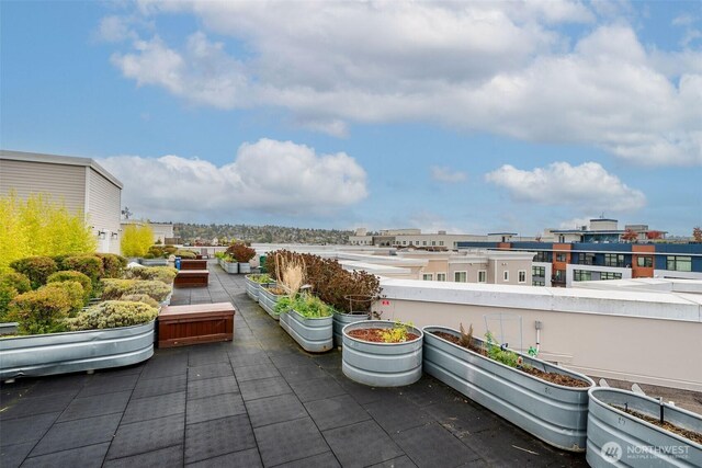 1545 NW 57th St Unit 230, Seattle, WA 98107 - photo 28