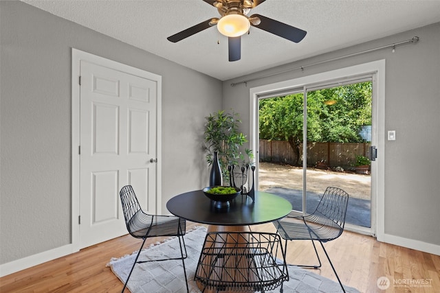 4001 Alturus St W, University Place, WA 98466 - photo 6