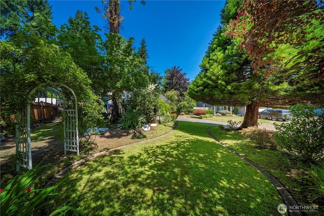 6109 204th Street Ct E, Spanaway, WA 98387 - photo 21
