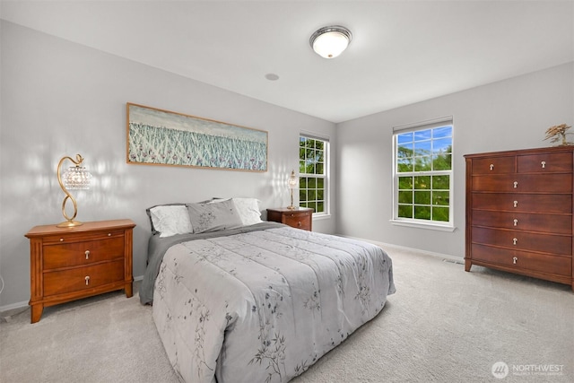 955 Colony Ct, Bellingham, WA 98229 - photo 15
