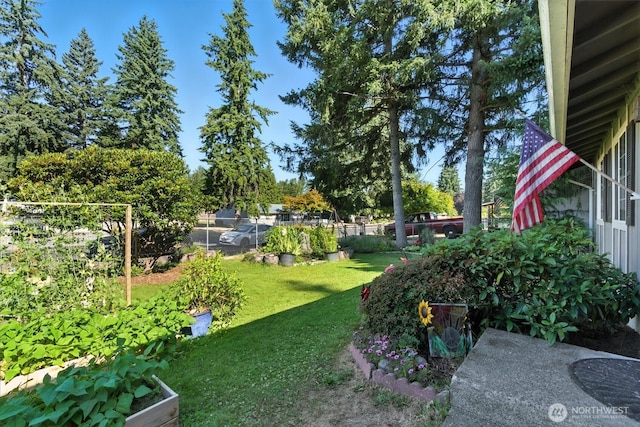 14207 126th Ave E, Puyallup, WA 98374 - photo 4