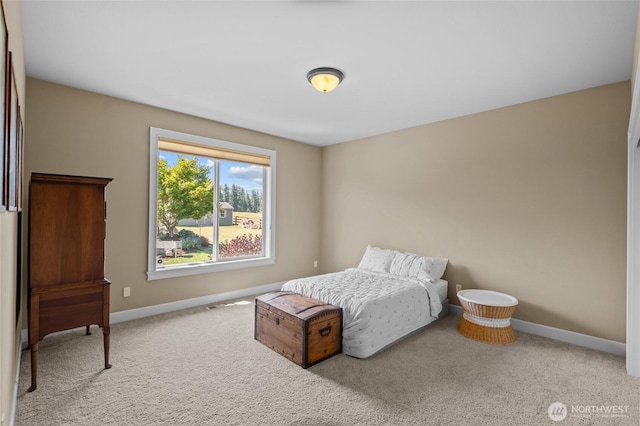 14919 141st Ln SE, Yelm, WA 98597 - photo 15