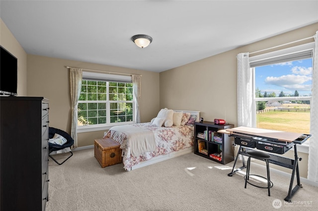 14919 141st Ln SE, Yelm, WA 98597 - photo 25