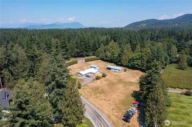 3599 Breckenridge Rd, Everson, WA 98247 - photo 6