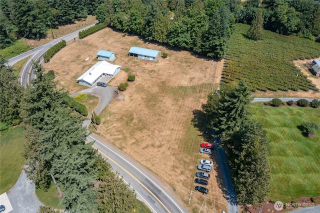 3599 Breckenridge Rd, Everson, WA 98247 - photo 7