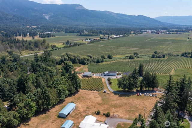 3599 Breckenridge Rd, Everson, WA 98247 - photo 10