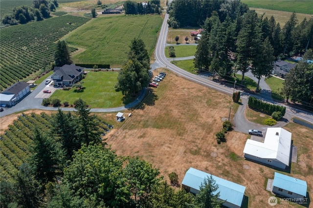 3599 Breckenridge Rd, Everson, WA 98247 - photo 14