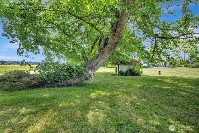 4205 204th St NE, Arlington, WA 98223 - photo 39