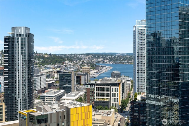 819 Virginia St Unit 2505, Seattle, WA 98101 - photo 28