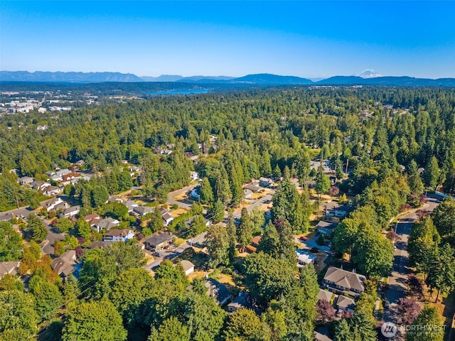 13941 NE 85th St, Redmond, WA 98052 - photo 29