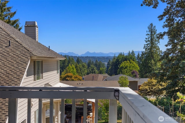 13941 NE 85th St, Redmond, WA 98052 - photo 18
