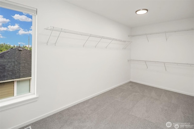10108 22nd Pl SE, Lake Stevens, WA 98258 - photo 23