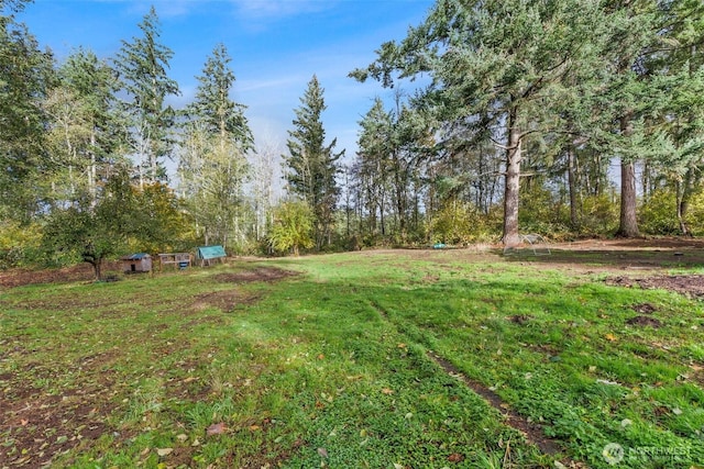 12310 Bronson St SE, Tenino, WA 98589 - photo 27