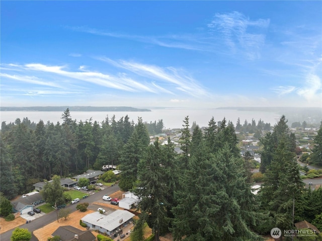 817 S 297th Pl, Federal Way, WA 98003 - photo 34