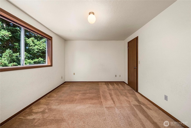 609 151st Pl NE, Bellevue, WA 98007 - photo 20