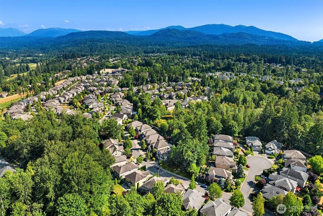 27114 SE 13th St, Sammamish, WA 98075 - photo 29