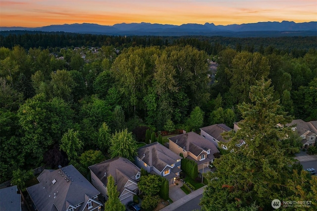 27114 SE 13th St, Sammamish, WA 98075 - photo 37