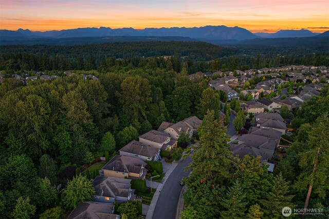27114 SE 13th St, Sammamish, WA 98075 - photo 38