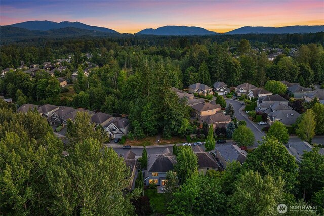 27114 SE 13th St, Sammamish, WA 98075 - photo 39