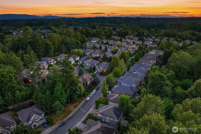 27114 SE 13th St, Sammamish, WA 98075 - photo 40