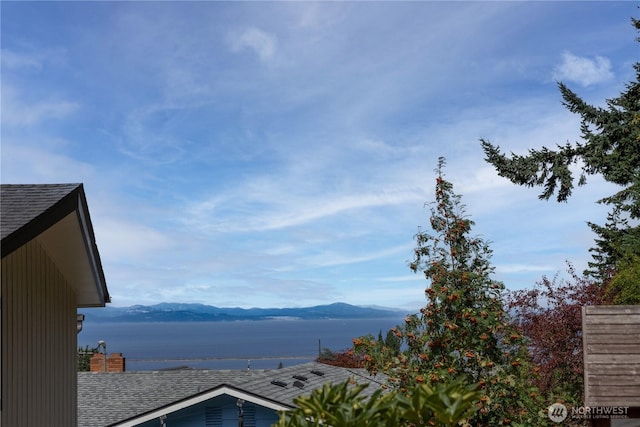 3017 S Regent St, Port Angeles, WA 98362 - photo 16