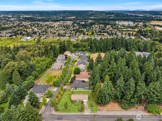 1719 19th Ave SE, Puyallup, WA 98372 - photo 31