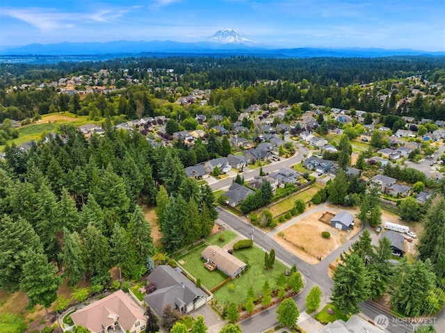 1719 19th Ave SE, Puyallup, WA 98372 - photo 33