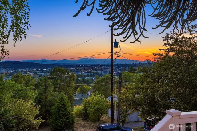 5016 Baker Ave NW, Seattle, WA 98107 - photo 30