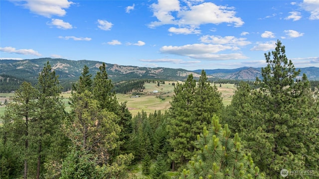 960 Forest Grv, Cle Elum, WA 98922 - photo 40