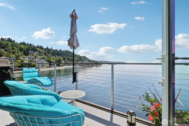 3717 Beach Dr SW Unit 316, Seattle, WA 98116 - photo 23